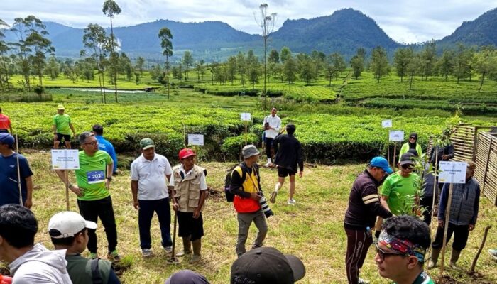 Holding Perkebunan Nusantara Perkuat Konservasi Lingkungan