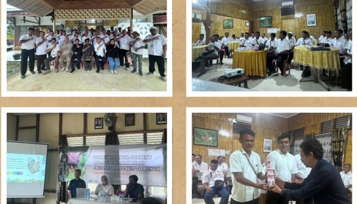 PTPN IV Regional V Gelar Pelatihan Peningkatan Oil Content Sawit