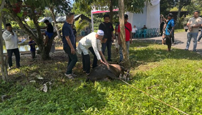 Polres Binjai Sembelih 10 Ekor Hewan Kurban