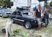 Dua Maling Lembu di Simalungun Diamankan, Sempat Jadi Bulan-bulanan