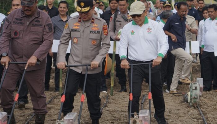 PalmCo Dukung Ketahanan Pangan Melalui Penguatan Kemitraan Petani