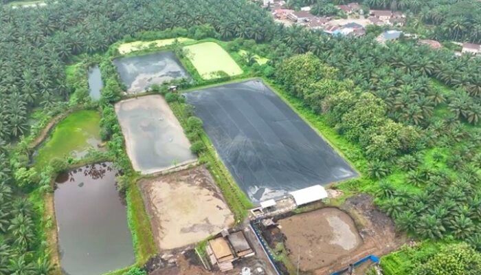 Holding Andalkan PLTBg PalmCo Hadapi Gejolak Energi Global