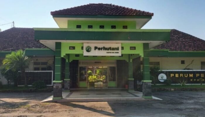 Belum Ada Tersangka Kasus Dugaan Korupsi Pengangkutan Kayu di KPH Ngawi