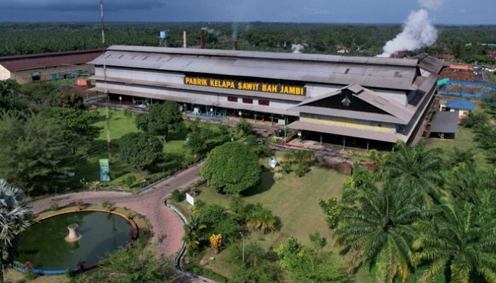 Holding Perkebunan Nusantara Perluas Akses Pendidikan Digital di Daerah Terpencil