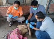 Pria Diduga ODGJ Ditemukan Tewas, Polres Sergai Pastikan Tak Ada Tanda Kekerasan