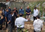 PTPN I Gandeng Investor Asal Tiongkok Kembangkan Bawang