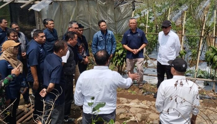 PTPN I Gandeng Investor Asal Tiongkok Kembangkan Bawang