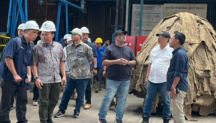 PTPN I Perkuat Produktivitas Karet, Fokus Benahi Kebun Padang Pelawi