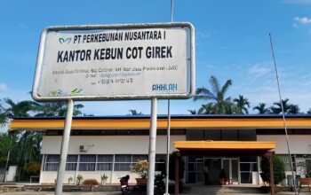 Okupasi dan Penjarahan Kebun PTPN Cot Girek Bikin Rugi Negara Hingga Pekerja