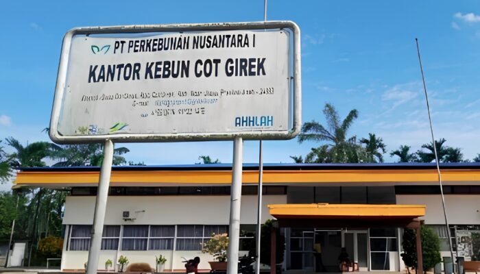Okupasi dan Penjarahan Kebun PTPN Cot Girek Bikin Rugi Negara Hingga Pekerja