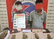 Polres Palas Tangkap Dua Pengedar Narkotika, Ratusan Gram Ganja Disita