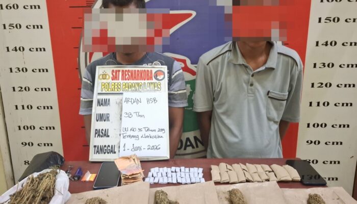 Polres Palas Tangkap Dua Pengedar Narkotika, Ratusan Gram Ganja Disita