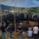 Bikin Resah, Polisi Diminta Tindak Sabung Ayam di Nagori Marihat Bukit Gunung Malela