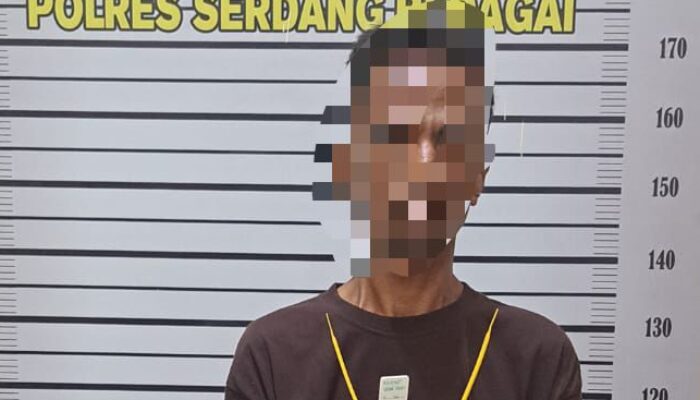 ‘Dikibuskan’ Melalui Medsos, Pria Pemilik Sabu di Sergai Diamankan Polisi