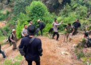 Ratusan Personil Gabungan Tertibkan Tambang Emas Ilegal di Dairi